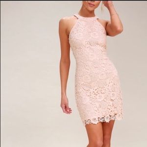 Lulu’s love poem blush lace dress